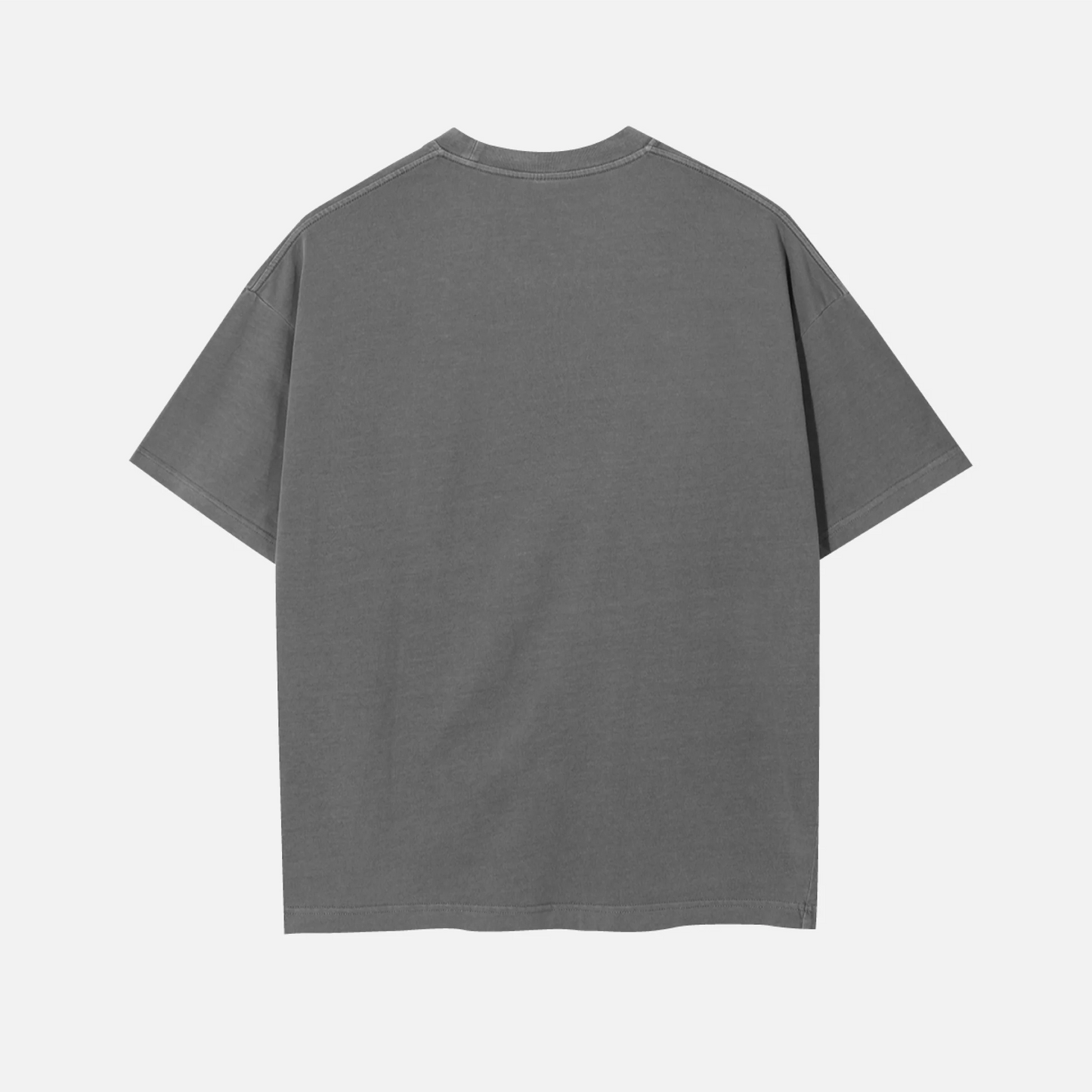 Camera T-shirt grey